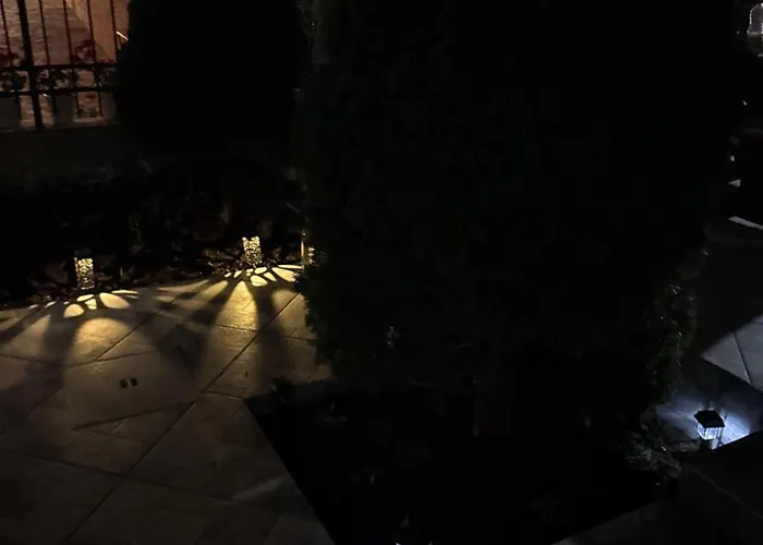 招待所 Sun 希典